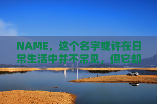 NAME，这个名字或许在日常生活中并不常见，但它却在某些领域里扮演着重要的角色。今天，让我们一起来探索这个名字背后的故事和意义